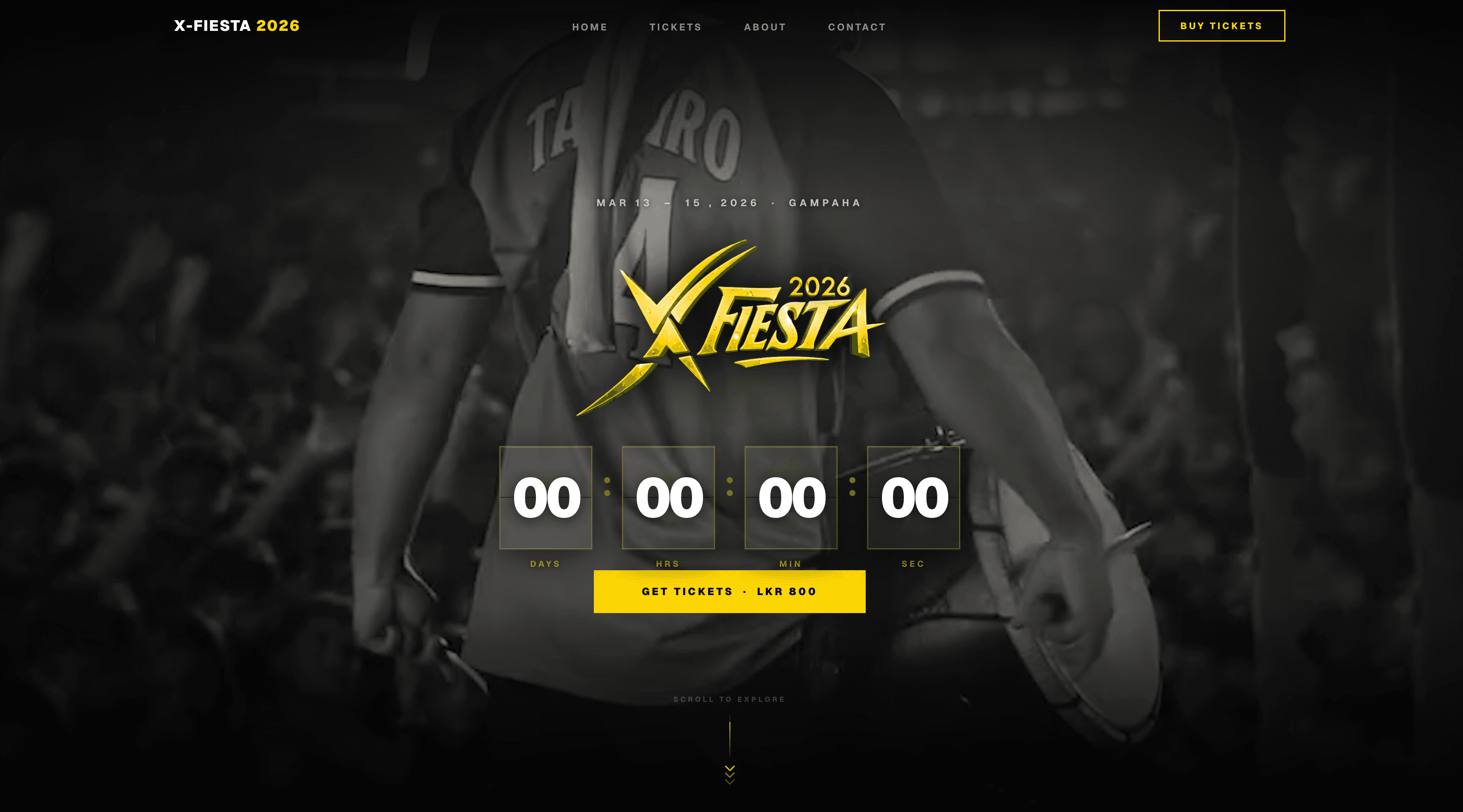 X-Fiesta 26 project preview